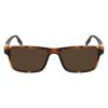 Converse Brown Acetate Sunglasses