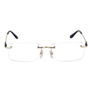 BMW Gold Titanium Glasses (Frames)