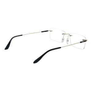 BMW Gold Titanium Glasses (Frames)