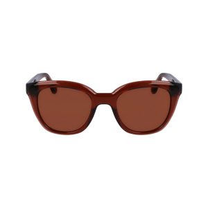 Ferragamo Brown Injected Sunglasses